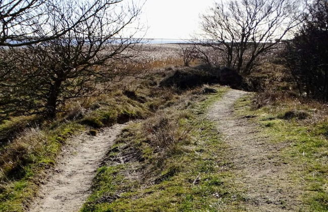 6 Person Holiday Home in Hals - Foto 20