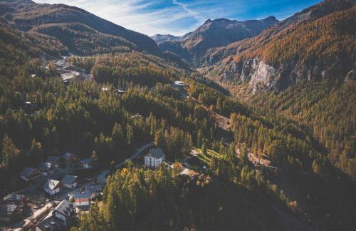 Ski et Détente Les Orres 1650 Animaux OK - Photo 34