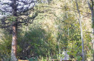 Sleepy Hollow in Ferncliff - Hot Tub - Foto 15