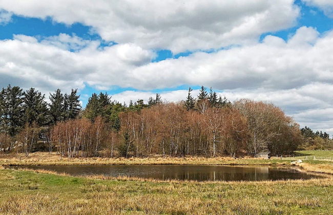 4 Person Holiday Home in Esbjerg V - Foto 24