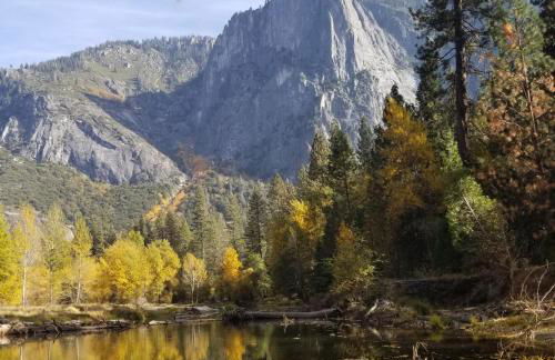 Beautiful Pet-Friendly Spacious Lodge near Yosemite & Lakes 12 Beds 6 BR up to 16 people - Foto 51