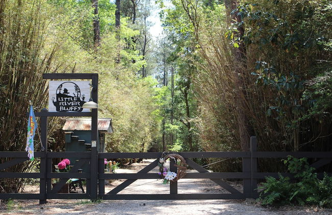 Little River Bluffs - Photo 55