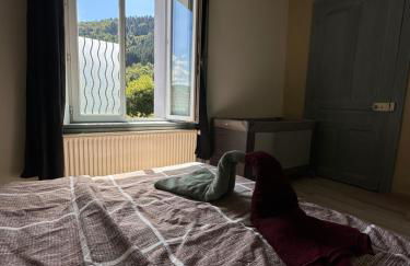 CAN appart spacieux avec grand jardin et terrasse 1 à 8 pers - Foto 6