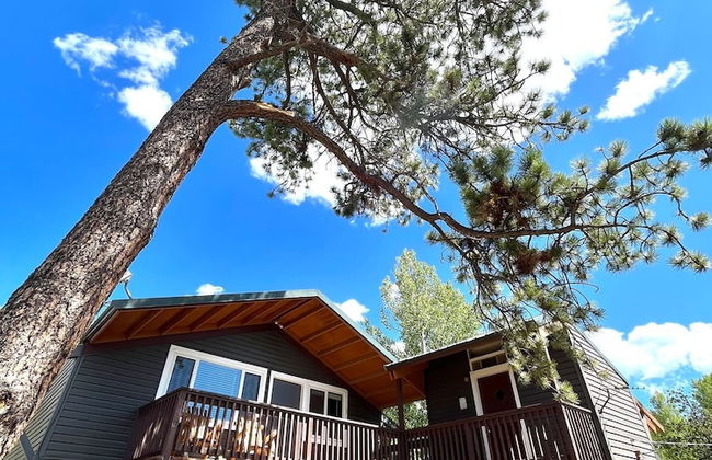 Perch Point- Hikers Dream Cabin Base - Photo 1