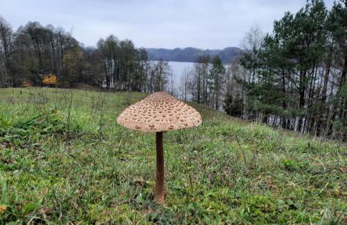 Apartamenty Sielanka - Foto 65