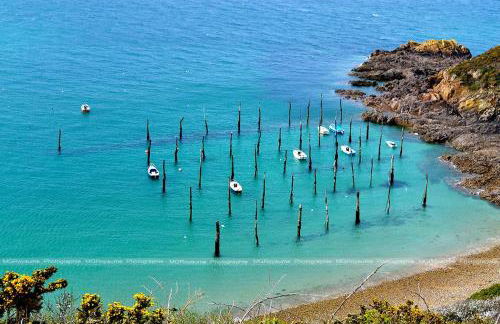 Face a la mer avec terrasse ensoleillee Brehec - Foto 22