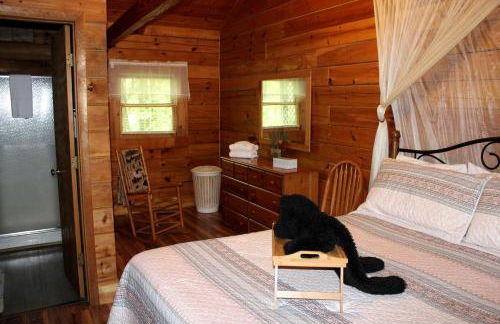 Romantic Cabin Rental in the Forest near Beckley, West Virginia - Foto 7