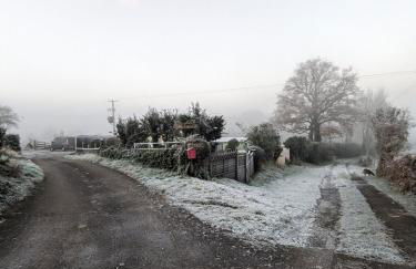 Audrey the Caravan of Dreams - Foto 9