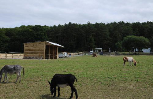 Bungalow Ückeritz - Foto 18