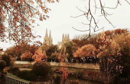 Atuaire Home San Pablo rozando el Museo de la Evolución Humana PARKING INCLUIDO - Foto 8