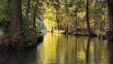 Ferienwohnung an der Postsäule Lübbenau - Foto 4