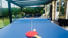 Entire guest suite with gated property - Foto 4, Game Room