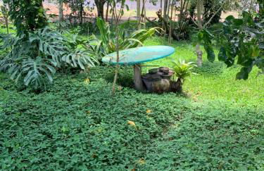 flat em serra negra - bezerros - Foto 28