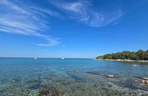 Marine Bliss - Foto 28