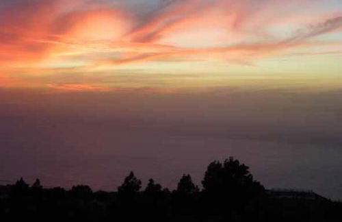 Casa Palmera - Photo 48