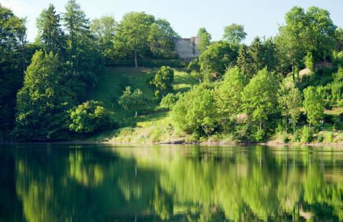 Ferienhaus am Sauerbrunnen - Foto 25
