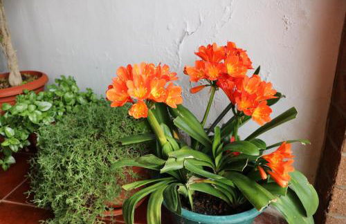 C M Casa de Mares Alojamento Local - Foto 26