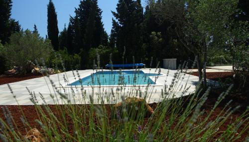 Olive Apartments - Foto 5, Garden