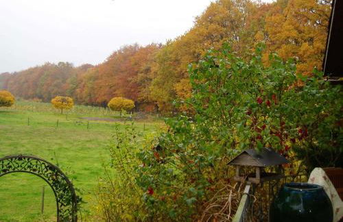 Ferienwohnung Am Walde - Photo 30