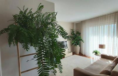 Jardim na Praia - Foto 18