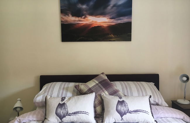 Broncoedwig Devil's Bridge - Foto 3