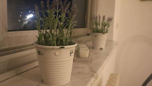 Schöne 2,5 Raum Wohnung Nähe Veltinsarena - Foto 5