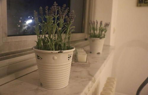 Schöne 2,5 Raum Wohnung Nähe Veltinsarena - Foto 5