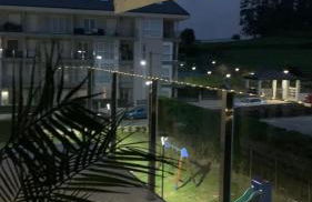 Foz, ven y disfruta Galicia - Foto 28