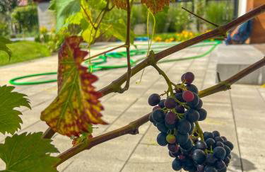 Apartamenty i pokoje nadmorskie - Owocowe Wzgórze - Foto 37