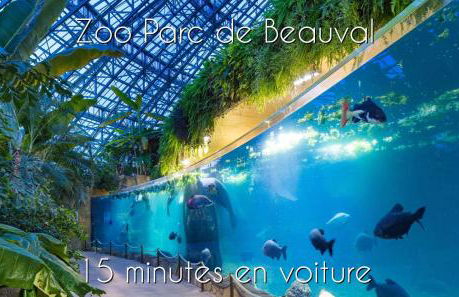 [Aucun supplément] L'Harmonie - 15 min de Beauval - Foto 27