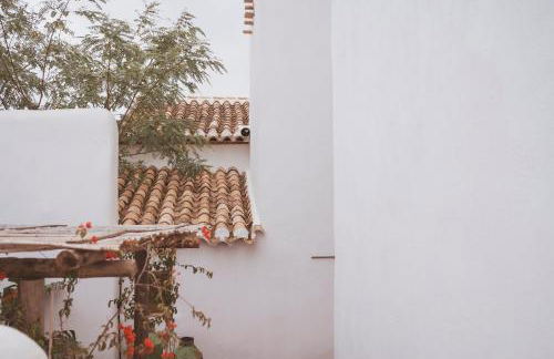 Cortijo Banana, villa rural para grupos grandes y piscina privada entre olivos - Foto 30