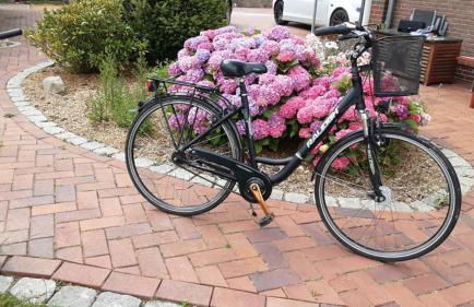 Best of Kollmar - Apartment mit Terrasse für 2 Personen absolut ruhig - Foto 32