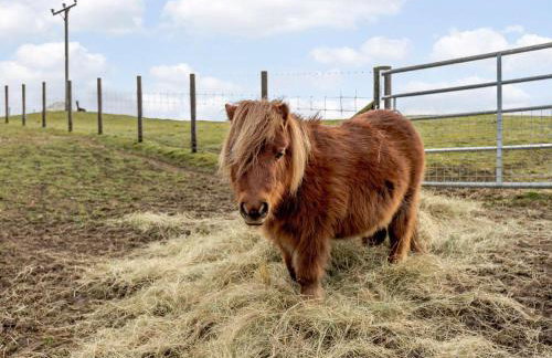 4 Bed in Newtown oc-86784 - Foto 23