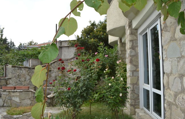 Royal Telavi - Foto 6