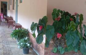 Sítio Vô Nono - Foto 16