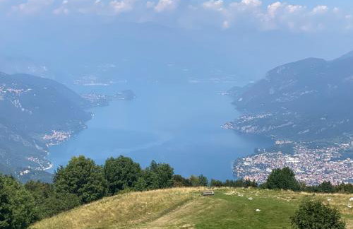 La coccinella - Foto 24