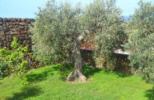 Agriturismo Zinedi - Foto 16