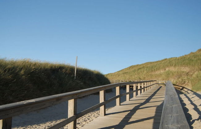 D Wilting in the House - Foto 9