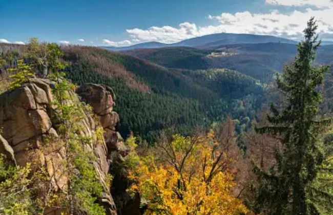 Apartment in Harz Near Brocken Railway - Foto 28