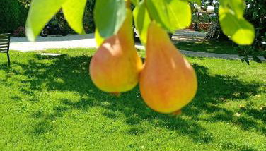 Agriturismo Carne Sicura - Foto 5