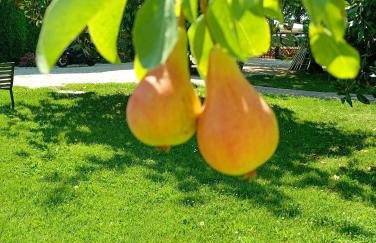 Agriturismo Carne Sicura - Foto 5