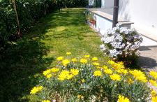 La TAVERNETTA - Foto 26