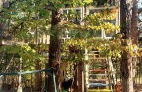 Magical Tree House Rental Nestled in the Woods on Farm Retreat near St. Louis, Missouri - Foto 34