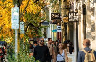 Stay Portland - 1906 Carl & Margaret Hoeber World's Fair House - Foto 29