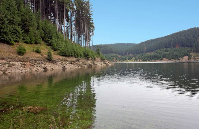 Cozy Apartment Near Trails - Foto 27