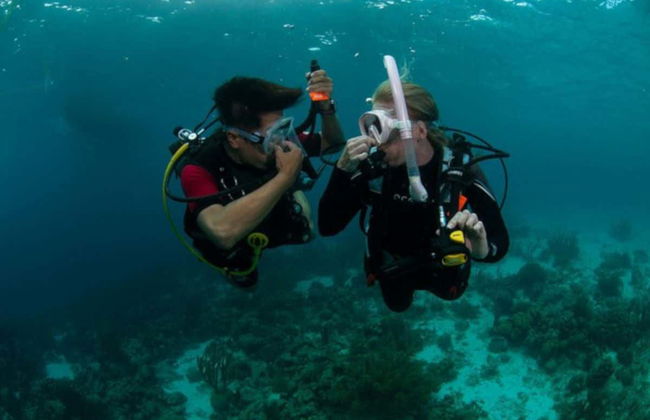 PADI Open Water Diving Course - Foto 5