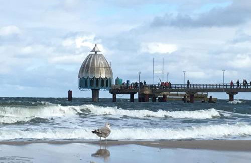 Sunshine Speicherresidenz Barth - Photo 34