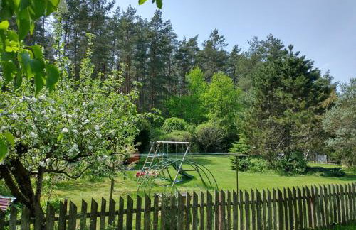 Wigierska Chatka - Foto 28