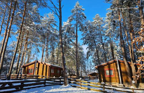 Bajkowy Zakątek - Foto 11