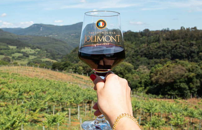 Ingresso da vinícola Jolimont - Foto 10